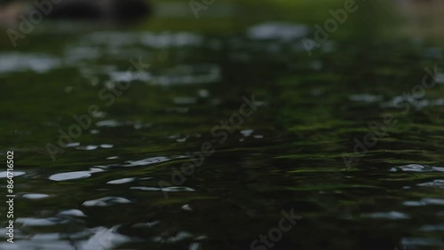 The surface reflects the beautiful black water flowing slowly.