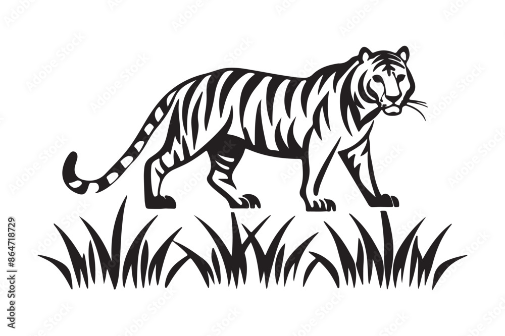 Obraz premium Tigers vector illustration