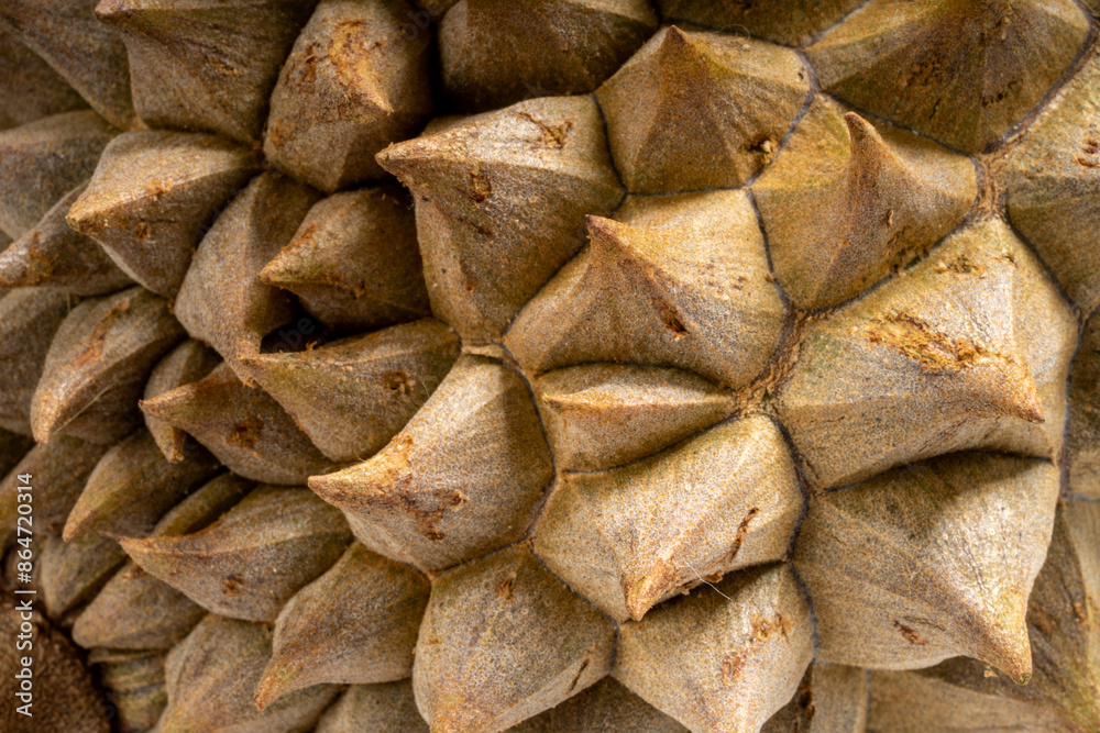 Close up texture of durian thorn skin texture. Close up texture of durian thorn skin texture.