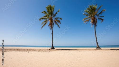 Fototapeta Naklejka Na Ścianę i Meble -  sandy beach with two palm trees on the shore and a blue sky in the background
