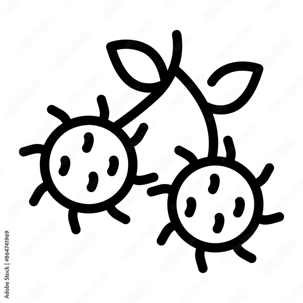 Obraz premium rambutan