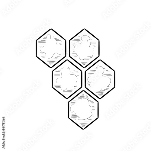 honeycomb handdrawn illustration