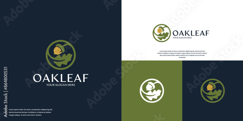 Oak leaf logo with circular acorns, elegant and clean style, logo design vector.