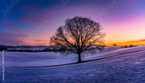 Amazing landscape with a lonely snowy tree in a winter field. Minimalistic scene in cloudy and foggy weather