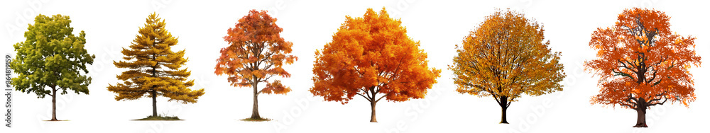 Autumn tree elements png cut out element set Autumn tree elements png cut out element set