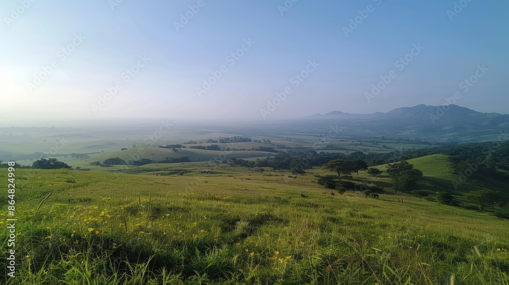 Obraz premium View from the Hilltop