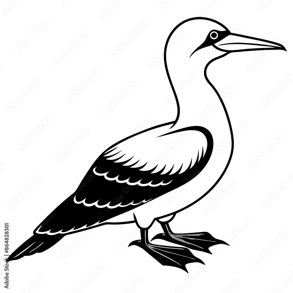 Obraz premium Gannet bird icon vector silhouette illustration. 