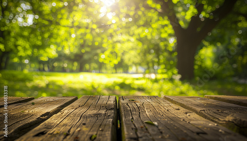 wooden bench in the park © osagvsa