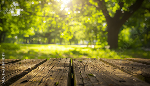 wooden bench in the park