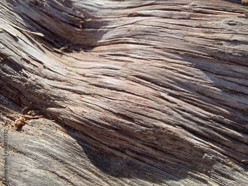 old wood texture