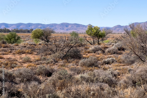 Mountains in the Australian Outback photo