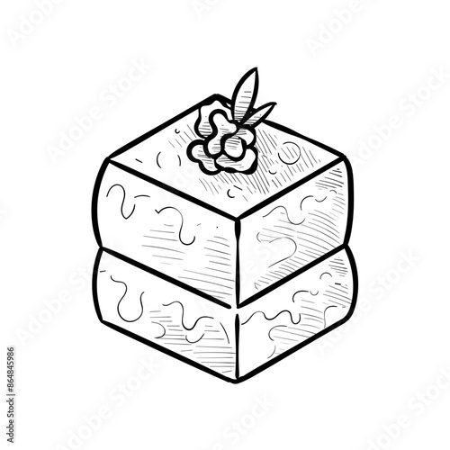 tiramisu handdrawn illustration