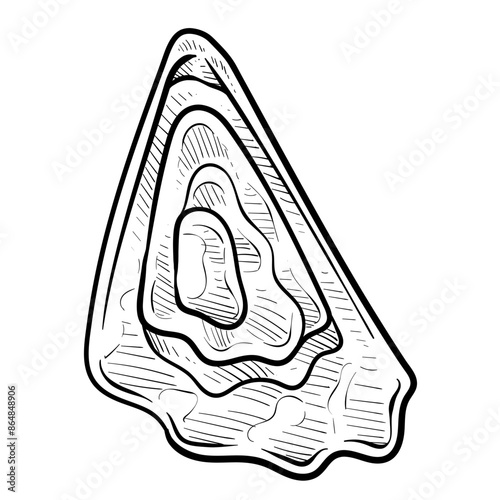 oysters handdrawn illustration
