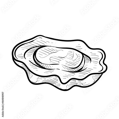 oysters handdrawn illustration