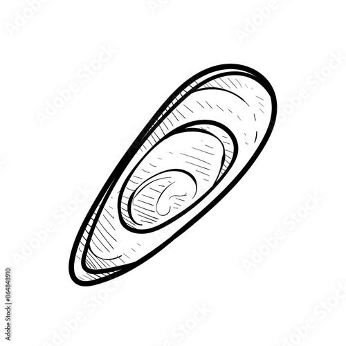 oysters handdrawn illustration