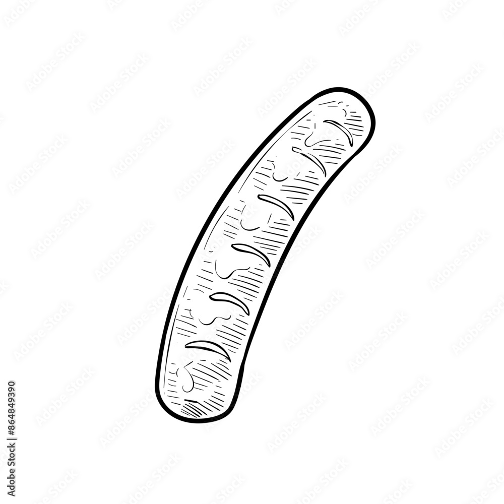 sausage handdrawn illustration sausage handdrawn illustration