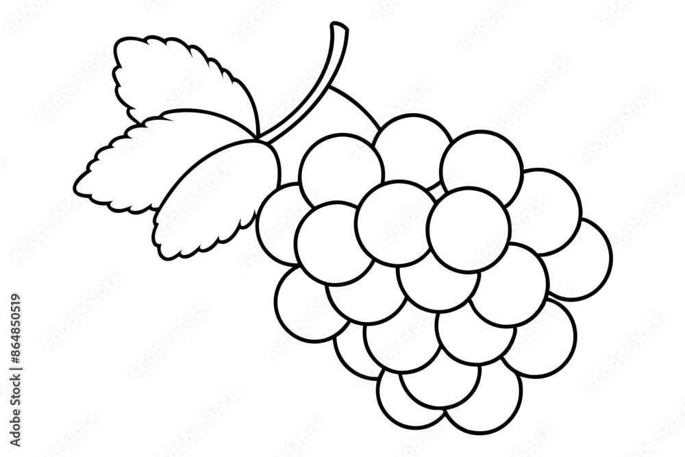 Grapes line art vector, Bunch of grapes with leaf, line art of grapes Grapes line art vector, Bunch of grapes with leaf, line art of grapes