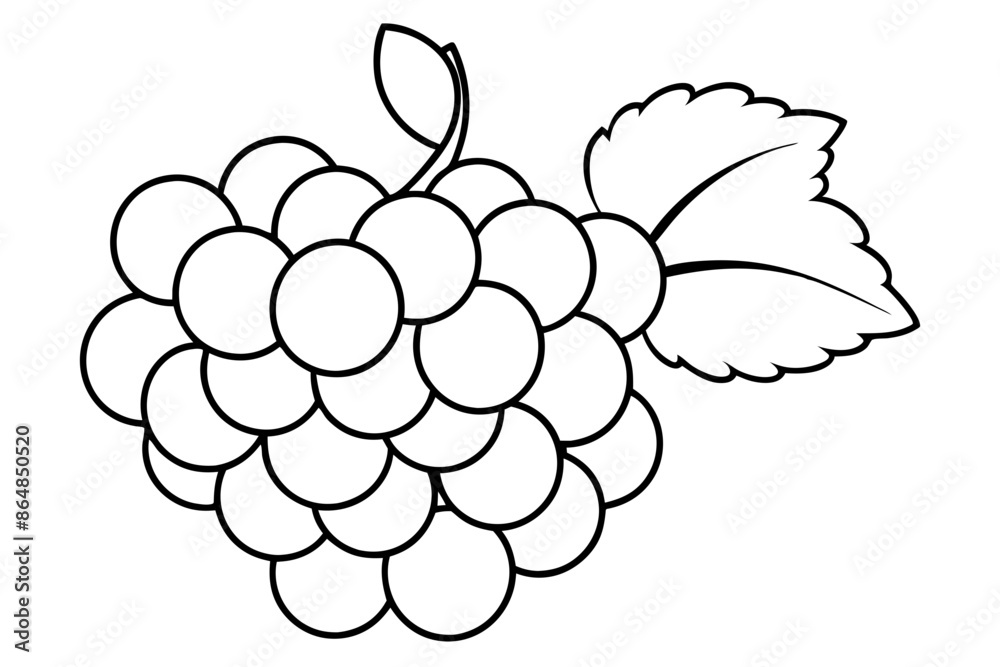 Grapes line art vector, Bunch of grapes with leaf, line art of grapes Grapes line art vector, Bunch of grapes with leaf, line art of grapes