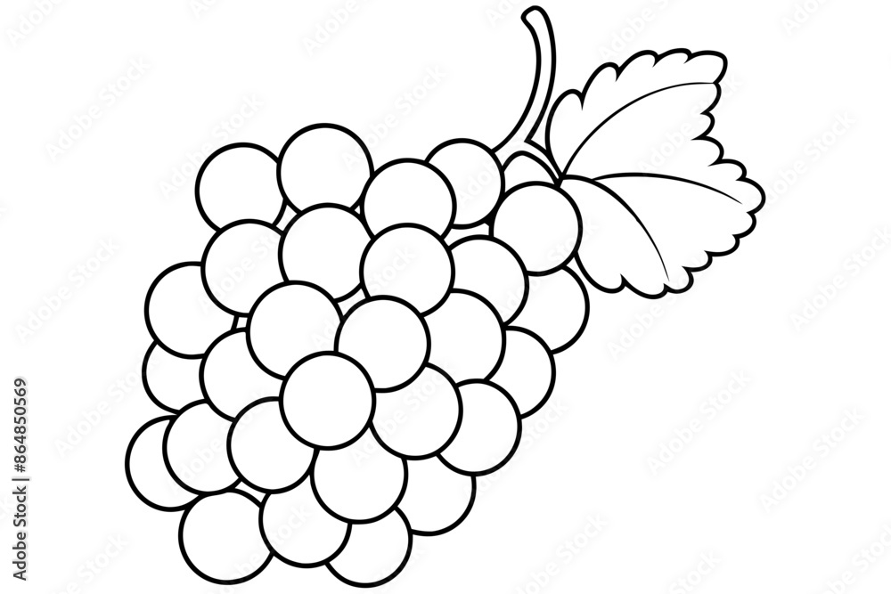 Grapes line art vector, Bunch of grapes with leaf, line art of grapes Grapes line art vector, Bunch of grapes with leaf, line art of grapes
