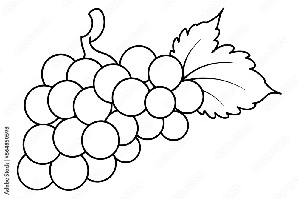 Grapes line art vector, Bunch of grapes with leaf, line art of grapes Grapes line art vector, Bunch of grapes with leaf, line art of grapes