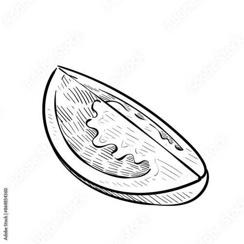 tomato slices handdrawn illustration