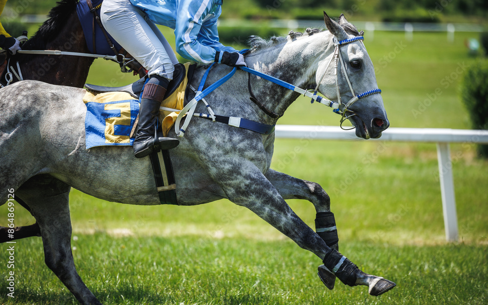Horse racing. Thoroughbred racehorse with jockey in motion. Dapple gray horse running Horse racing. Thoroughbred racehorse with jockey in motion. Dapple gray horse running