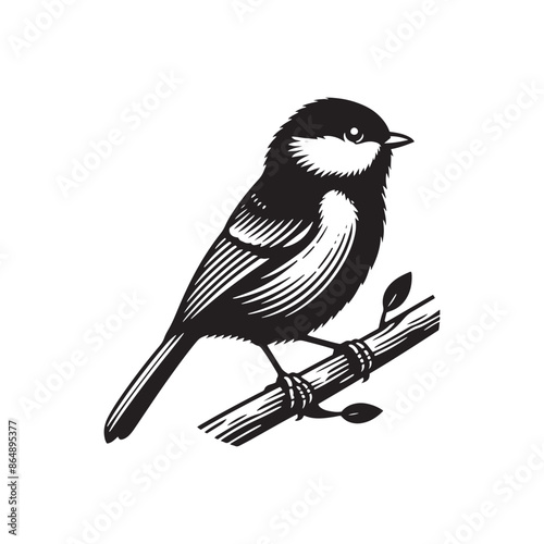 Titmouse Bird Vector - Titmouse Bird Silhouette - Minimalist Titmouse Bird Design.