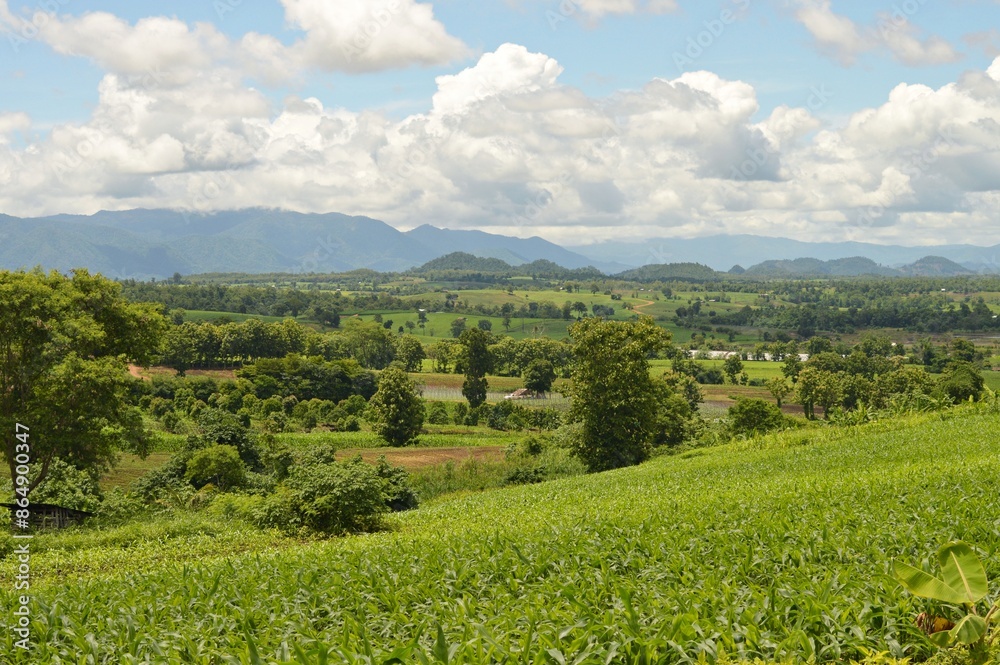 landscape with green field and blue sky landscape with green field and blue sky