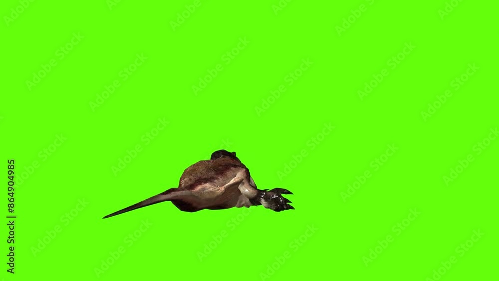 T-rex dinosaur stunned green screen animation 3D rendering T-rex dinosaur stunned green screen animation 3D rendering