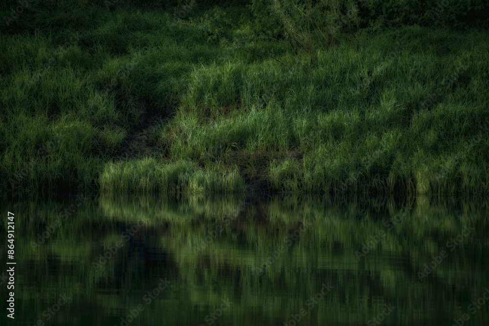 The shore at dusk, covered with soft green grass The shore at dusk, covered with soft green grass