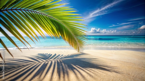 Vibrant summer holiday backdrop featuring a sharp shadow of a coconut leaf on pristine sandy beach with soft, blurred surroundings. photo