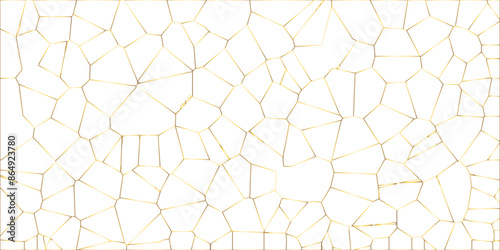 Golden gradient lines stroke abstract white crystalized broken glass background. Voronoi diagram background. abstract desktop texture design digital art wallpaper, vector illustration.