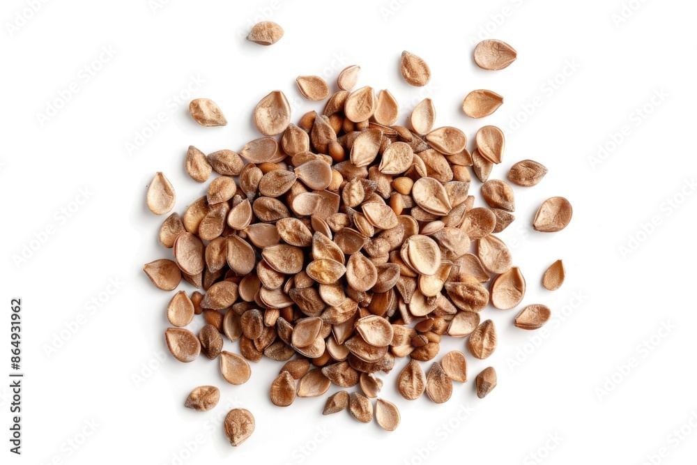 A collection of various nuts arranged neatly on a white background, perfect for food or decorative purposes A collection of various nuts arranged neatly on a white background, perfect for food or decorative purposes