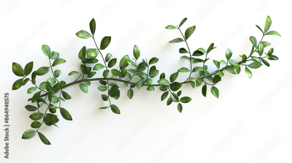 A small plant with green leaves growing on a clean white wall A small plant with green leaves growing on a clean white wall