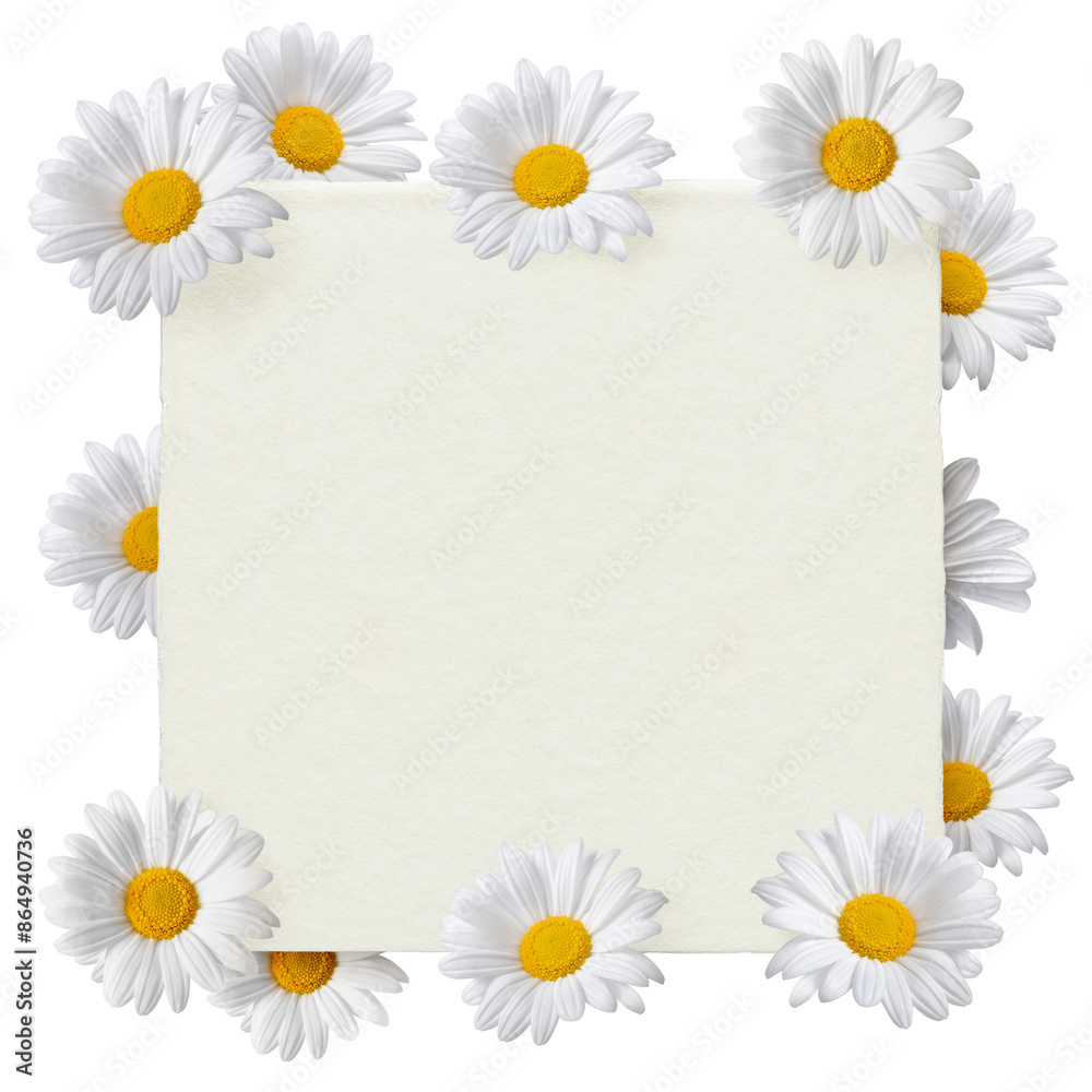 Fototapeta premium Png floral frame sticker, botanical design in transparent background