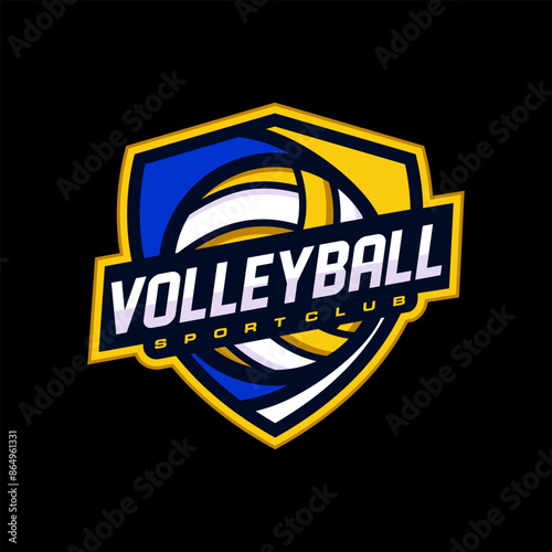 Volley Ball Logo Design Image