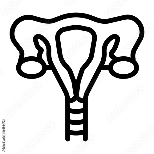 uterus