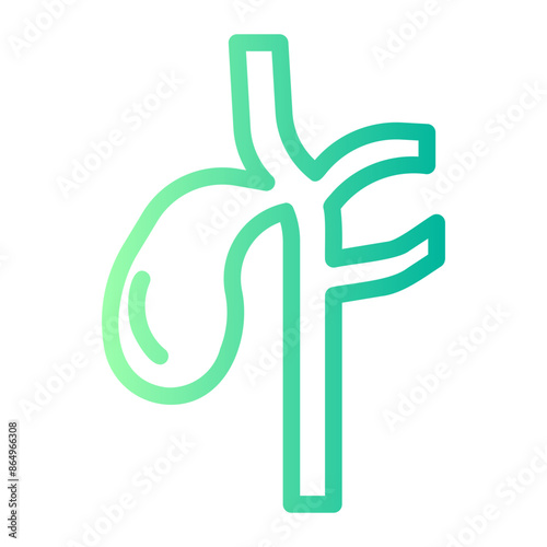 gallbladder