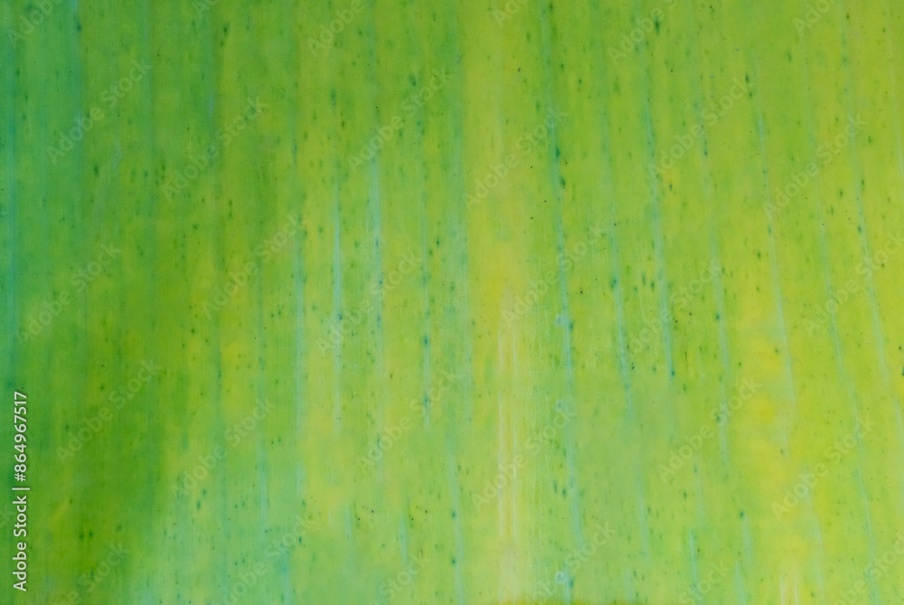 Green and yellow banana leaves with black dots scattered all over the leaves. Smooth texture. Banana leaf background. Abstract background. Green and yellow banana leaves with black dots scattered all over the leaves. Smooth texture. Banana leaf background. Abstract background.