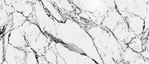 Panoramic close-up, high detail scan of Statuario marble material, Generative AI
