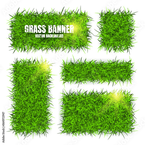 Green grass banners, background. Field, meadow texture, grassy landscape. Organic, bio, eco and natural lifestyle design elements. Ecology and environment protection. Vector illustration