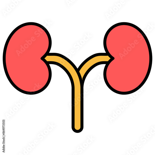 Kidney