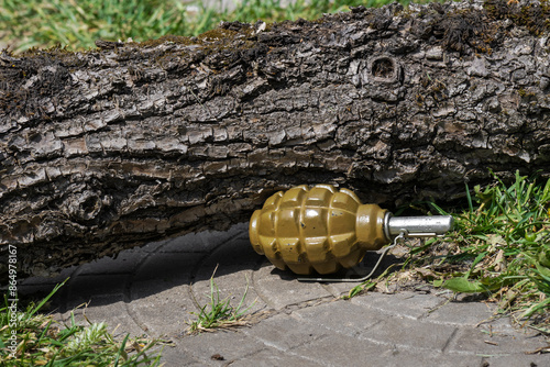 Booby Trap Landmine made from military hand grenade installed near old log hidden to step on it photo