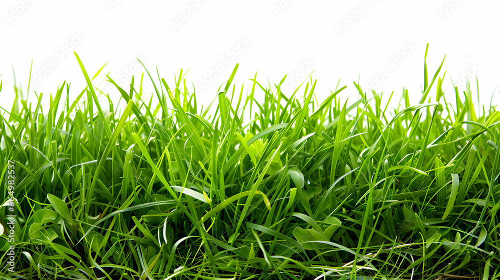 Fototapeta premium close up of fresh green grass cut out background,generative ai