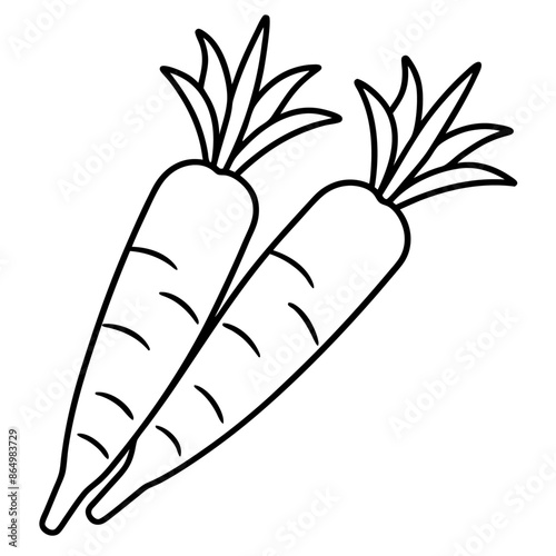 carrots outline coloring book page line art illustration digital drawing