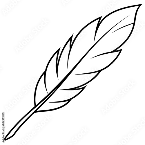feather outline coloring book page line art illustration digital drawing