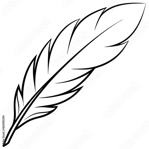 feather outline coloring book page line art illustration digital drawing