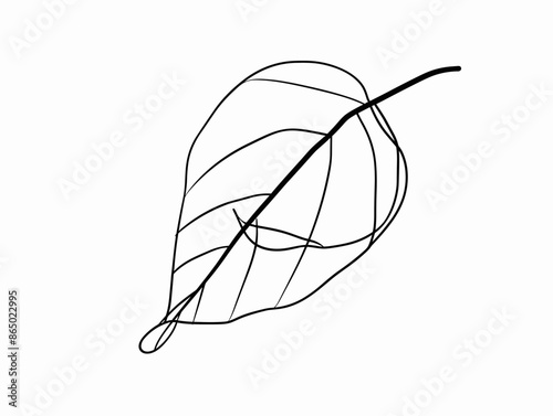 Dewdrop's Embrace: Single-Line Minimalism Capturing Nature's Serenity