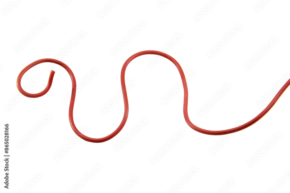 Wire cable of usb and adapter isolated on white background.Electronic Connector.Selection focus. Wire cable of usb and adapter isolated on white background.Electronic Connector.Selection focus.
