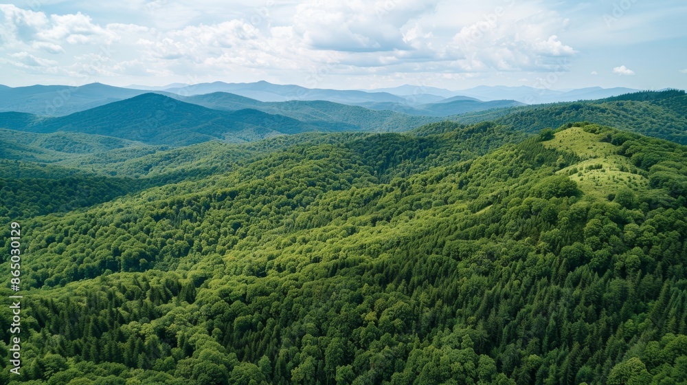 Sprawling green forest carpets rolling mountains under azure sky with puffy white clouds. Sunlight casts shadows, creating depth and texture across lush landscape. Sprawling green forest carpets rolling mountains under azure sky with puffy white clouds. Sunlight casts shadows, creating depth and texture across lush landscape.